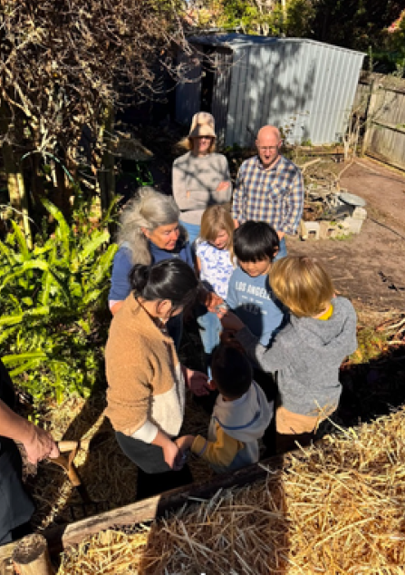 Term 4 Gardening Image